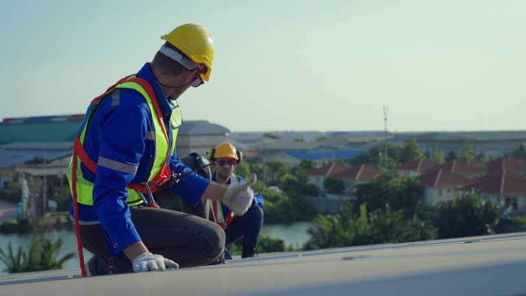 Best Roof Insulation Installation  in Vallejo, CA