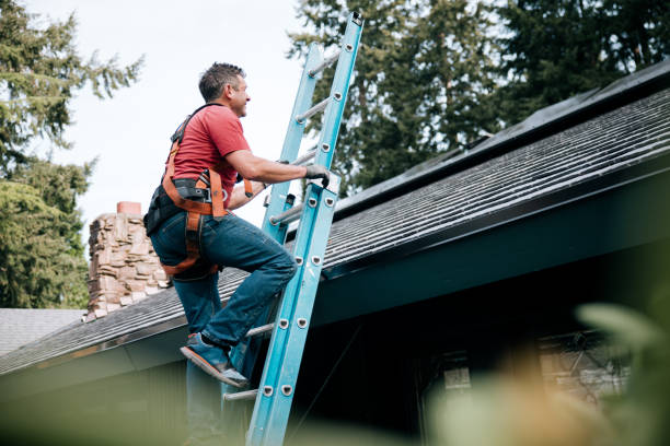 Roof Insulation in Vallejo, CA