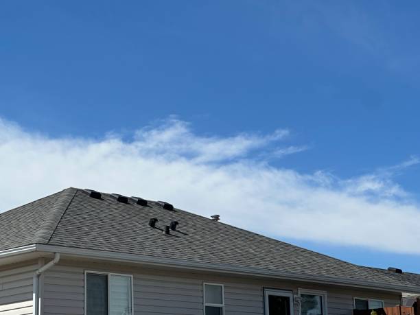 Steel Roofing in Vallejo, CA