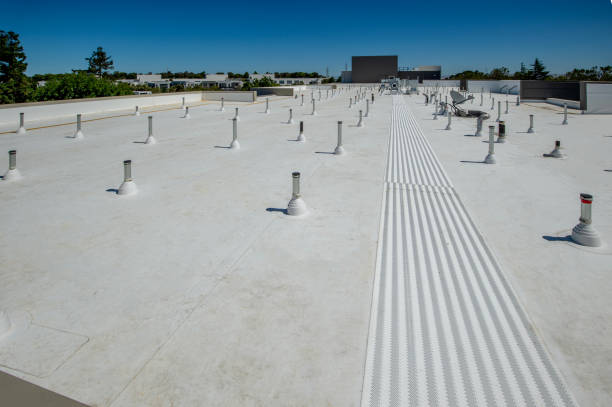 Best Wood Shake Roofing  in Vallejo, CA